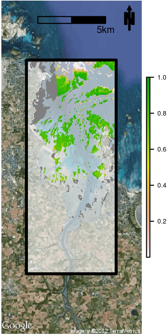 Output of spatial distribution modelling using R-software