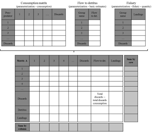 Community matrix construction from Ecopath