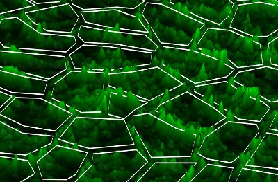 Cell fluorescence converted into a 3D landscape