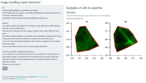 Snapshot of the expert image comparison shinyapp